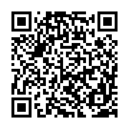 QR code for DKZ 196