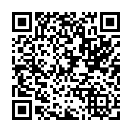 QR code for DL 0011