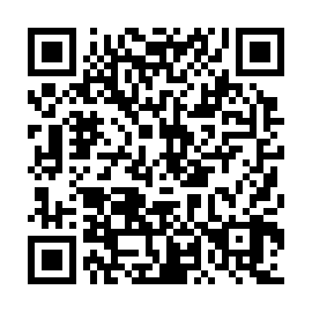 QR code for DL 0308