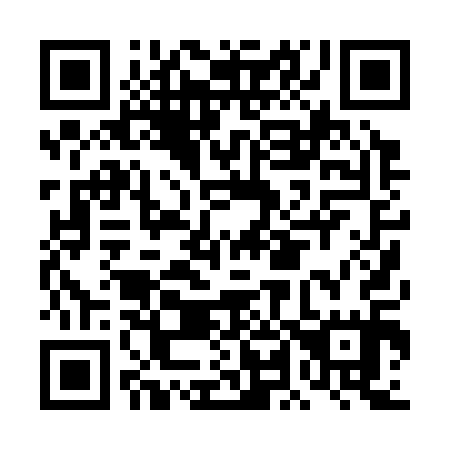 QR code for DL 0315