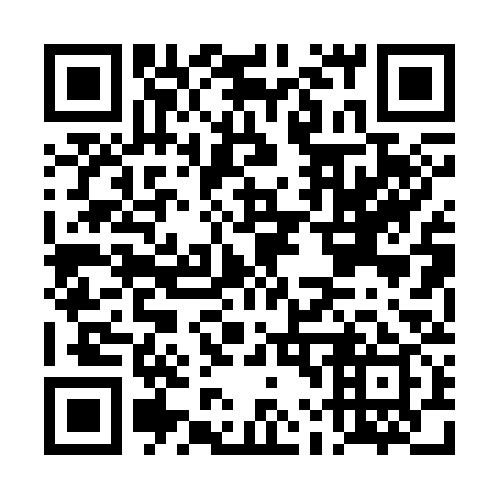 QR code for DL 0339