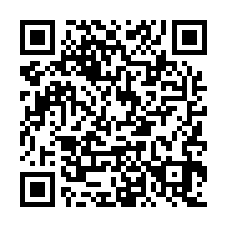 QR code for DL 4133
