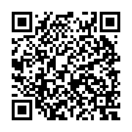 QR code for plate DL 0299