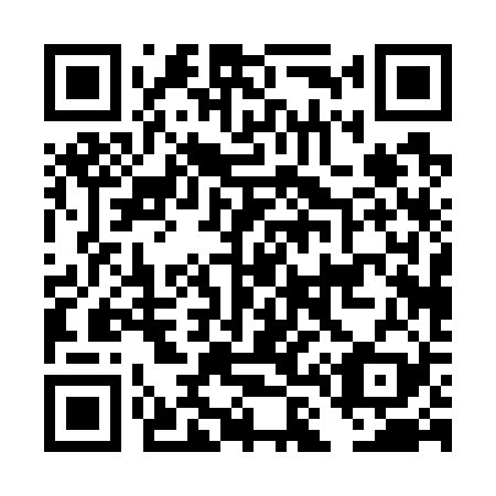 QR code for DL0729