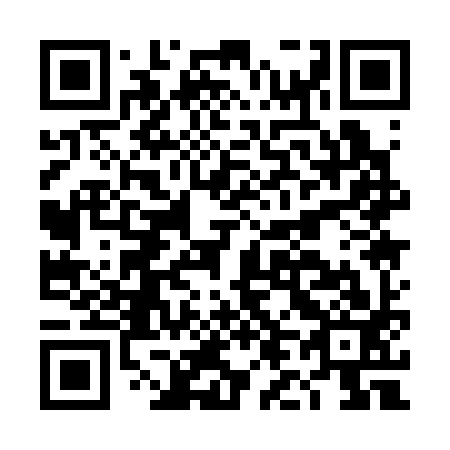 QR code for plate DL 1393