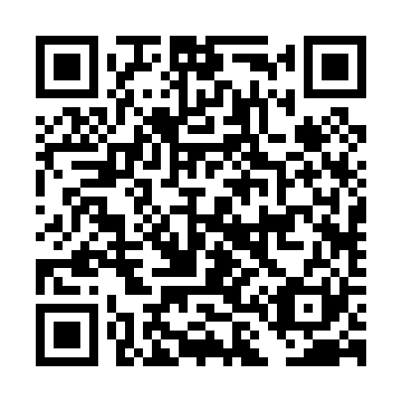 QR code for DL2021