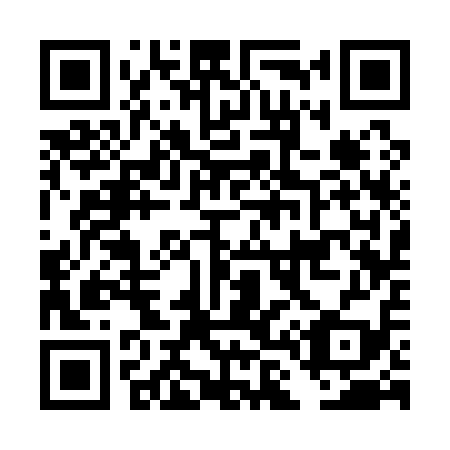 QR code for plate DL 3119