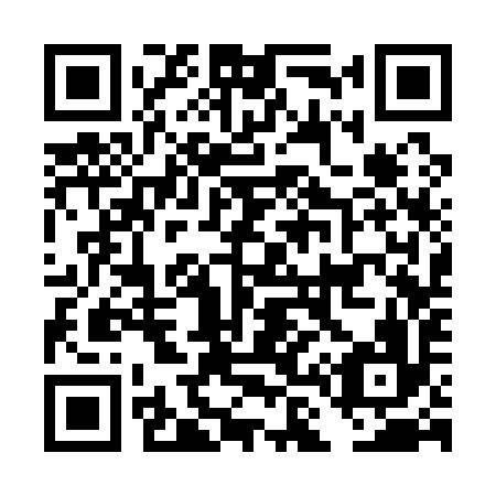 QR code for plate DL 3196