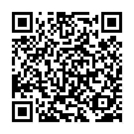 QR code for plate DL 3489