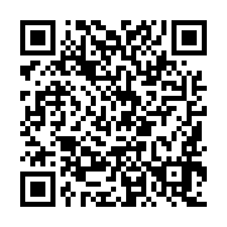QR code for DL9597