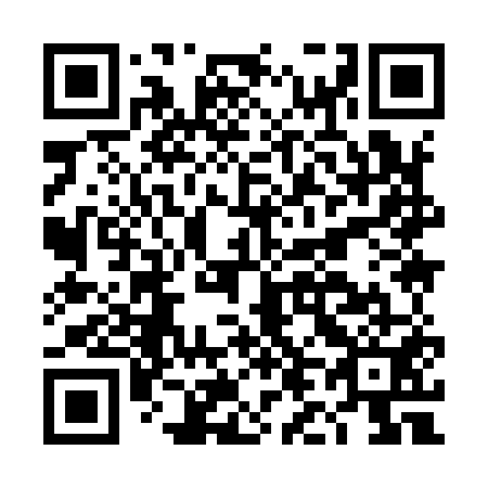 QR code for plate DL 9951