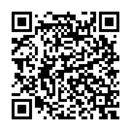 QR code for plate DLA 160