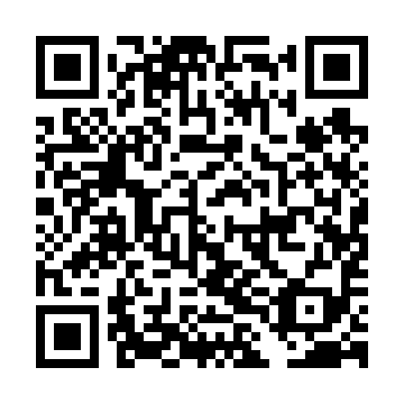 QR code for DLA699