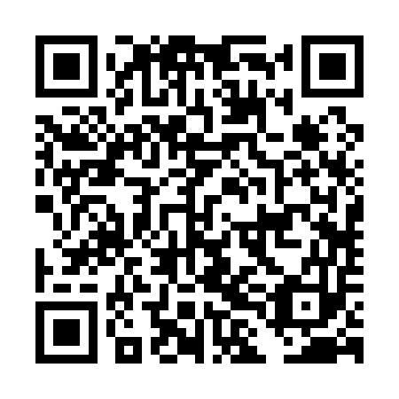 QR code for plate DLB 153
