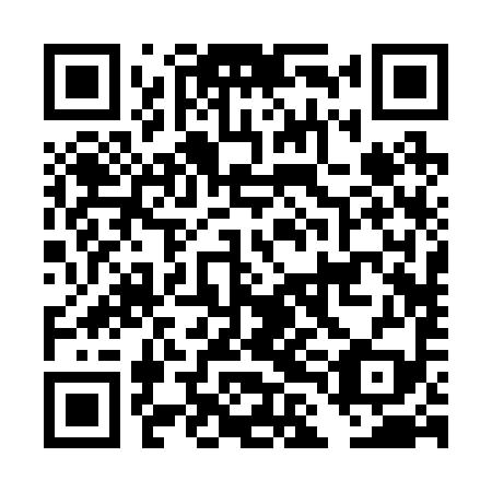 QR code for plate DLB 299