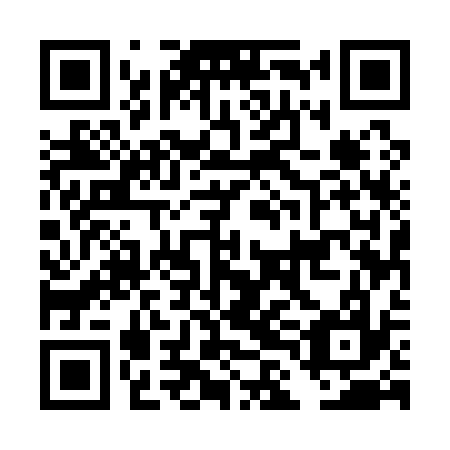 QR code for plate DLE 137