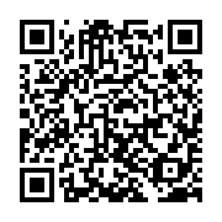 QR code for DLF 298