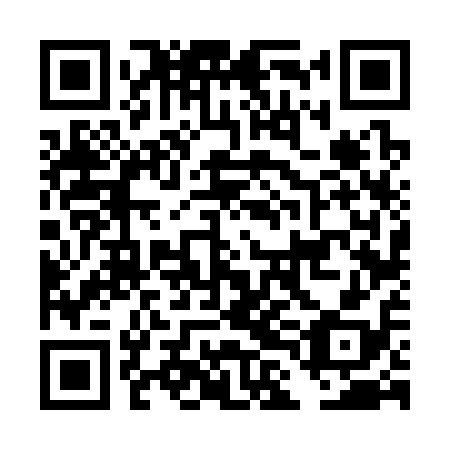 QR code for DLF 318