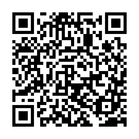 QR code for DLF 343