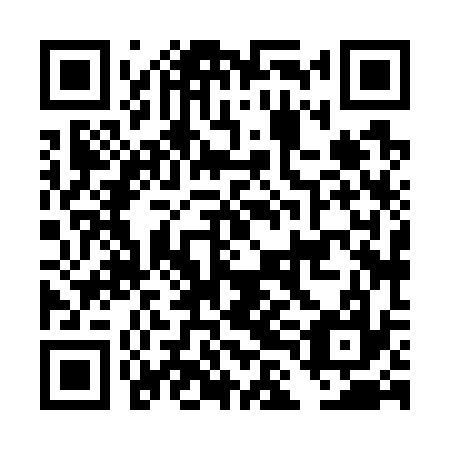 QR code for DLH 737