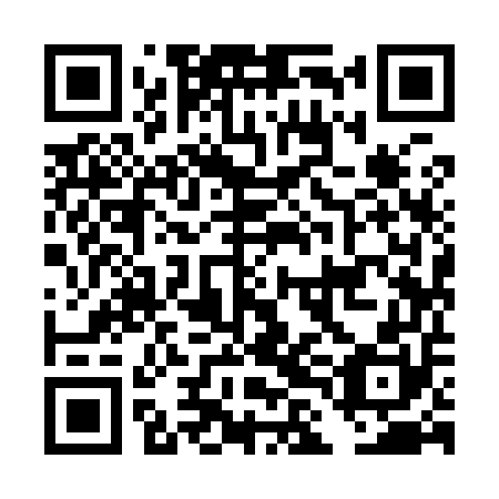 QR code for DLI 950