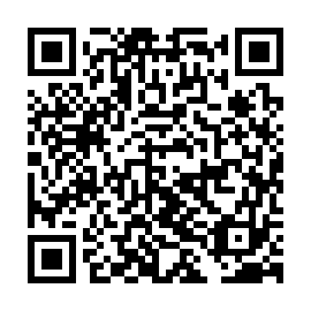 QR code for plate DLI 373