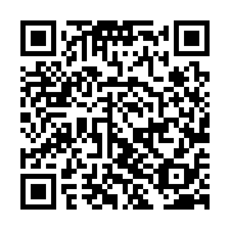 QR code for DLL 318