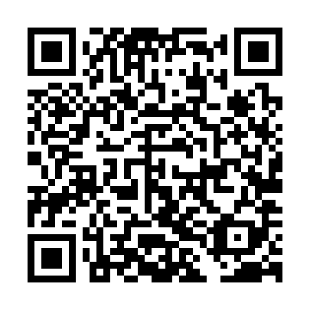 QR code for DLL389
