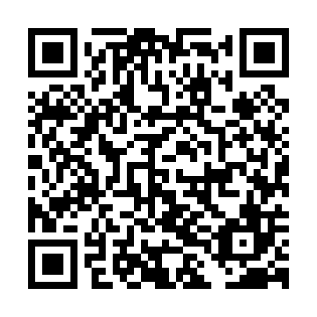 QR code for DLM006