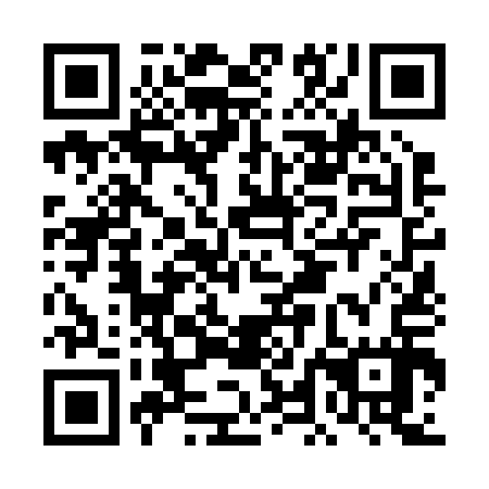 QR code for plate DLN 217