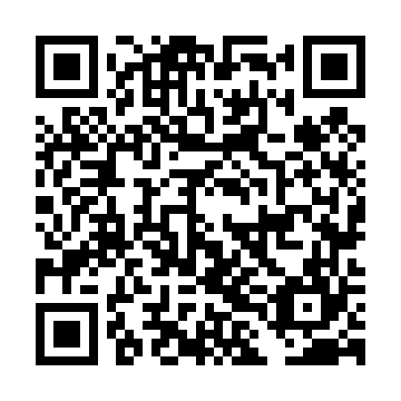 QR code for plate DLN 464