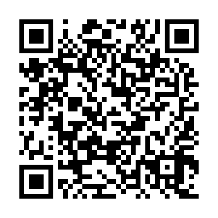 QR code for plate DLN 918