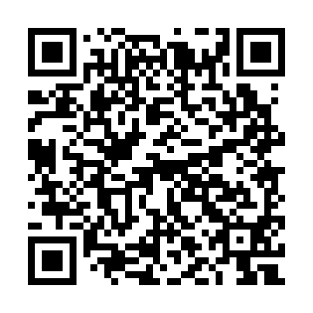 QR code for DLP 390