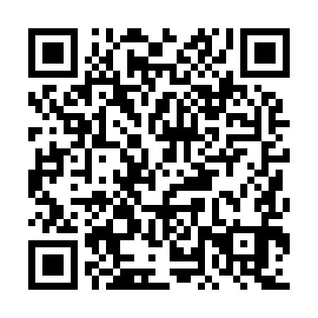 QR code for DLP991