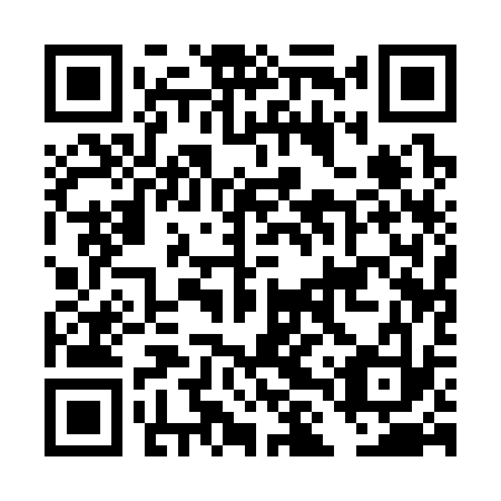 QR code for DLQ333