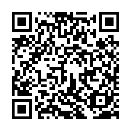 QR code for DLR 221