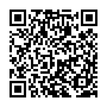 QR code for DLR 463