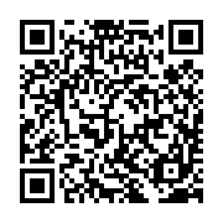 QR code for DLR 497