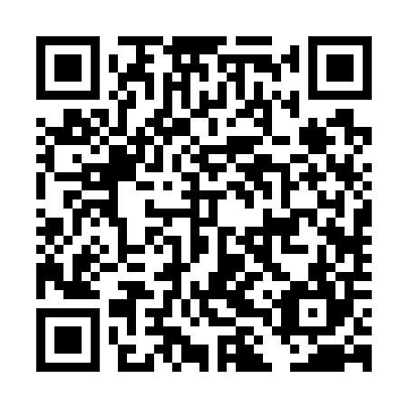 QR code for plate DLR 704