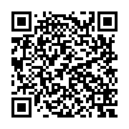 QR code for DLS 969