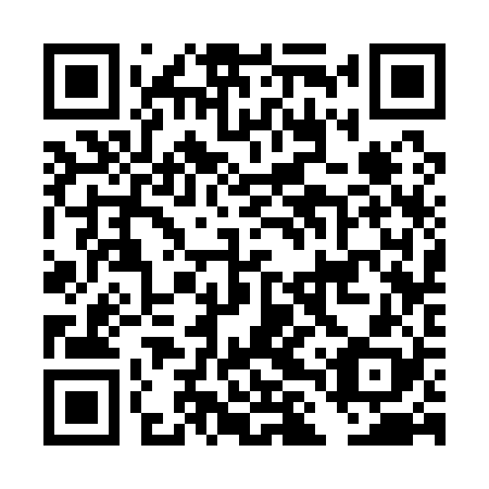QR code for plate DLS 128