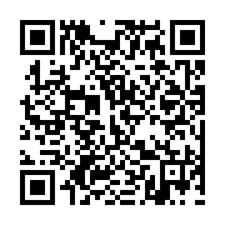 QR code for plate DLS 395
