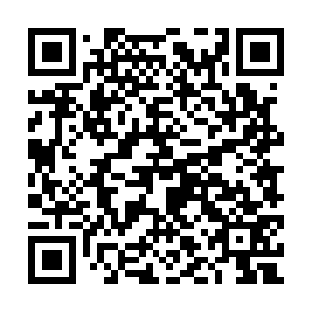 QR code for plate DLT 173