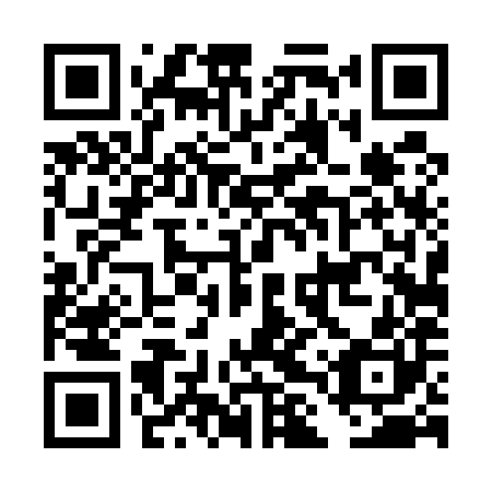 QR code for plate DLT 580