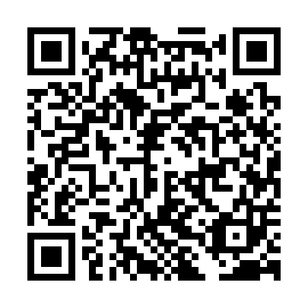 QR code for DLU 303