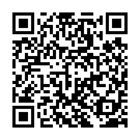 QR code for DLU 699