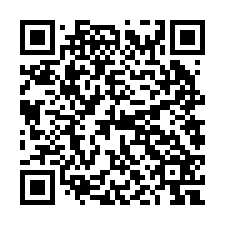 QR code for plate DLV 226