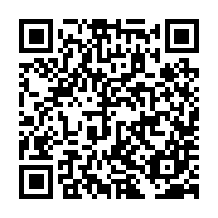 QR code for plate DLV 287