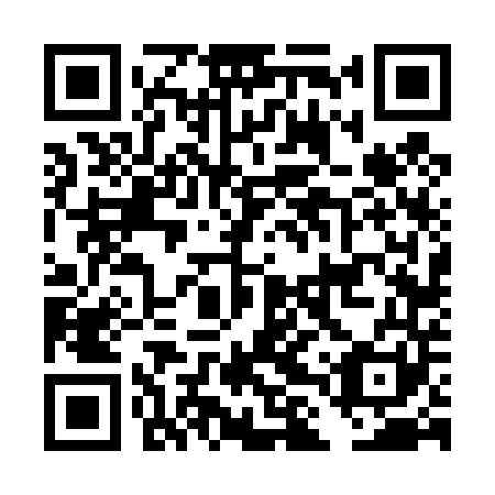 QR code for DLV441