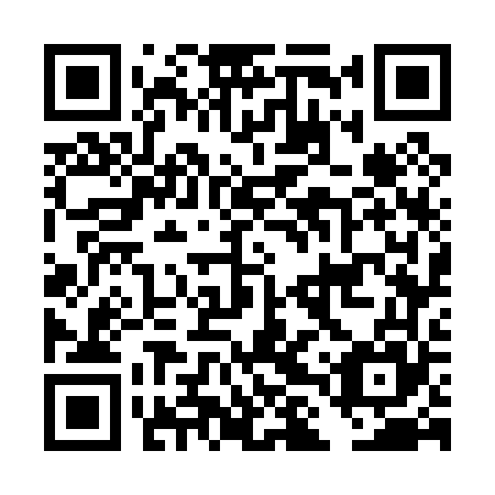 QR code for plate DLW 065